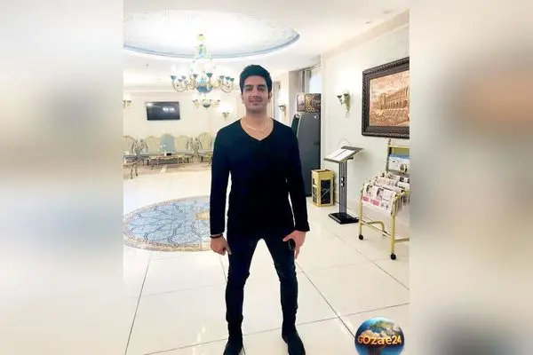 سبک و سلیقه خاص بازیگران و هنرمندان در تزئین درخت کریسمس + تصاویر دیدنی