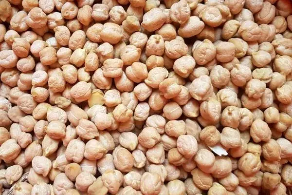 تعبیر خواب نخود: از نگاه سنتی تا روان‌شناسی مدرن در ۷ روایت