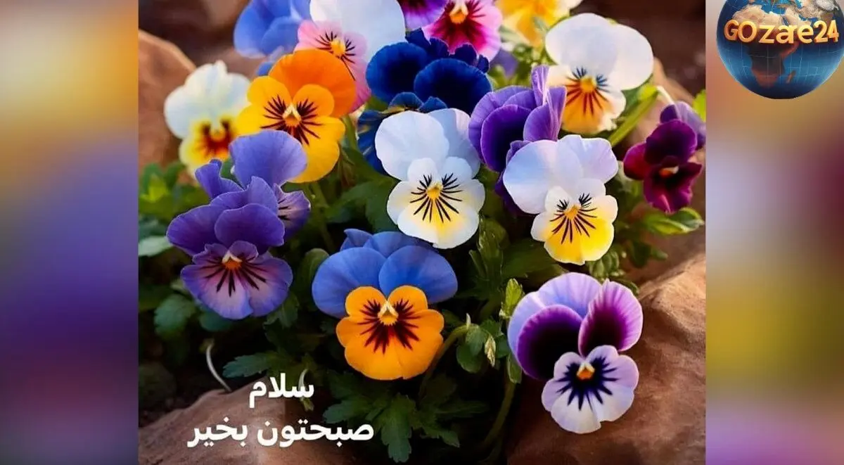 فال روزانه ۱۴ خرداد ماه ۱۴۰۲ | پیش‌بینی کامل و نکات مهم روز برای هر ماه تولد