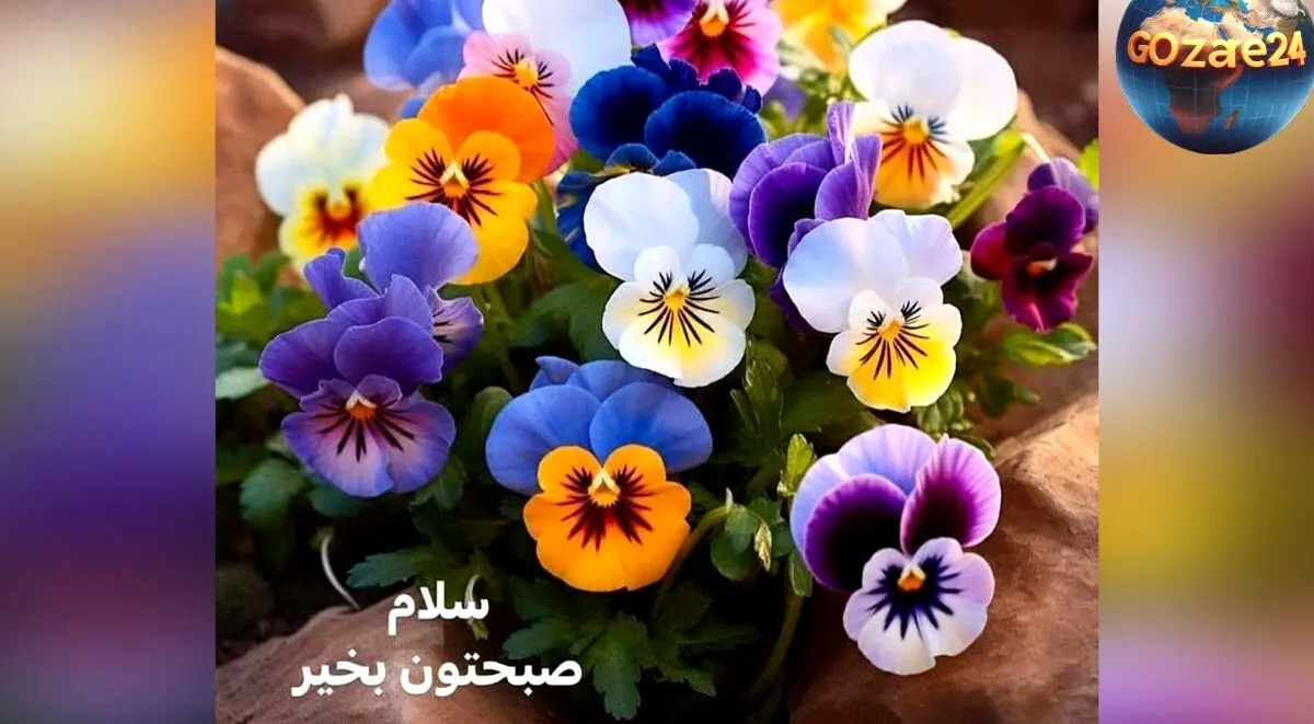 فال روزانه ۱۴ خرداد ماه ۱۴۰۲ | پیش‌بینی کامل و نکات مهم روز برای هر ماه تولد