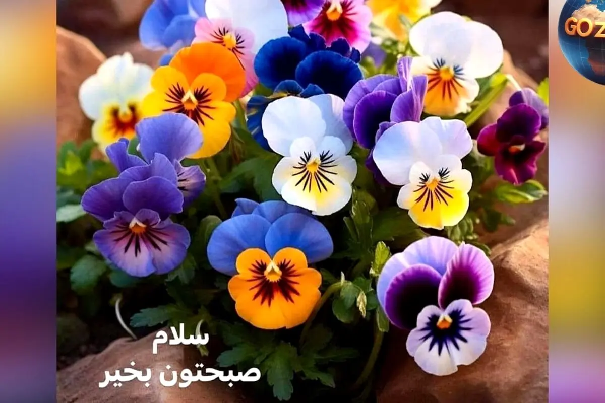 فال روزانه ۱۴ خرداد ماه ۱۴۰۲ | پیش‌بینی کامل و نکات مهم روز برای هر ماه تولد