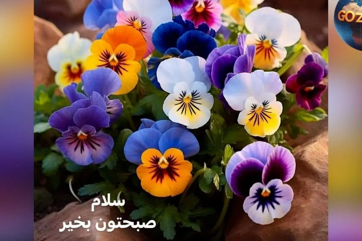 فال روزانه ۱۴ خرداد ماه ۱۴۰۲ | پیش‌بینی کامل و نکات مهم روز برای هر ماه تولد